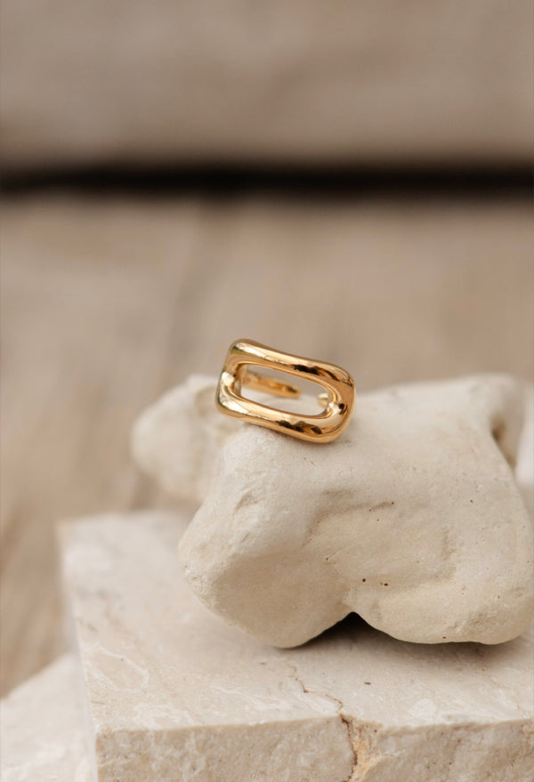 ANELLO LONGUETTE